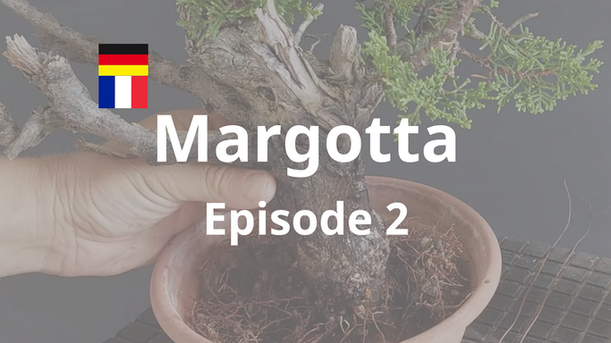 Book - Margotta - Ep.2